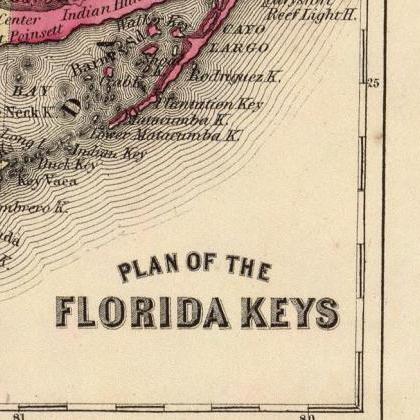 Vintage Map Of Florida 1860