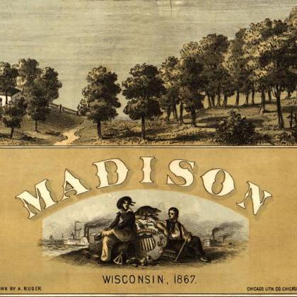 Madison Wisconsin 1876 Panoramic View Vintage